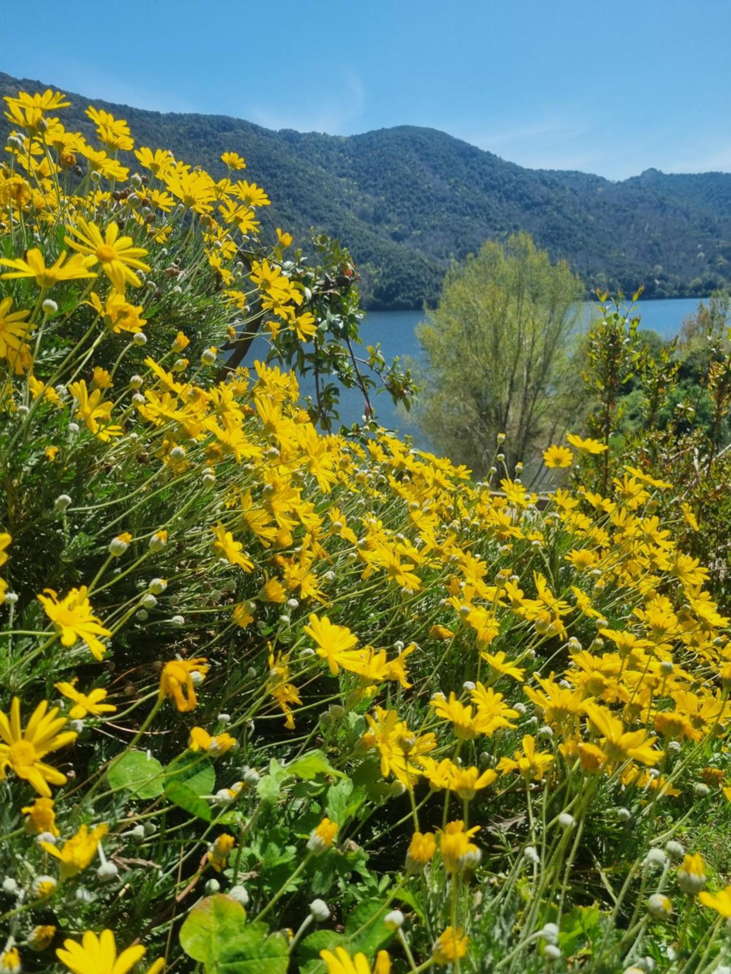 Cote Lac Tolla Bagian luar foto