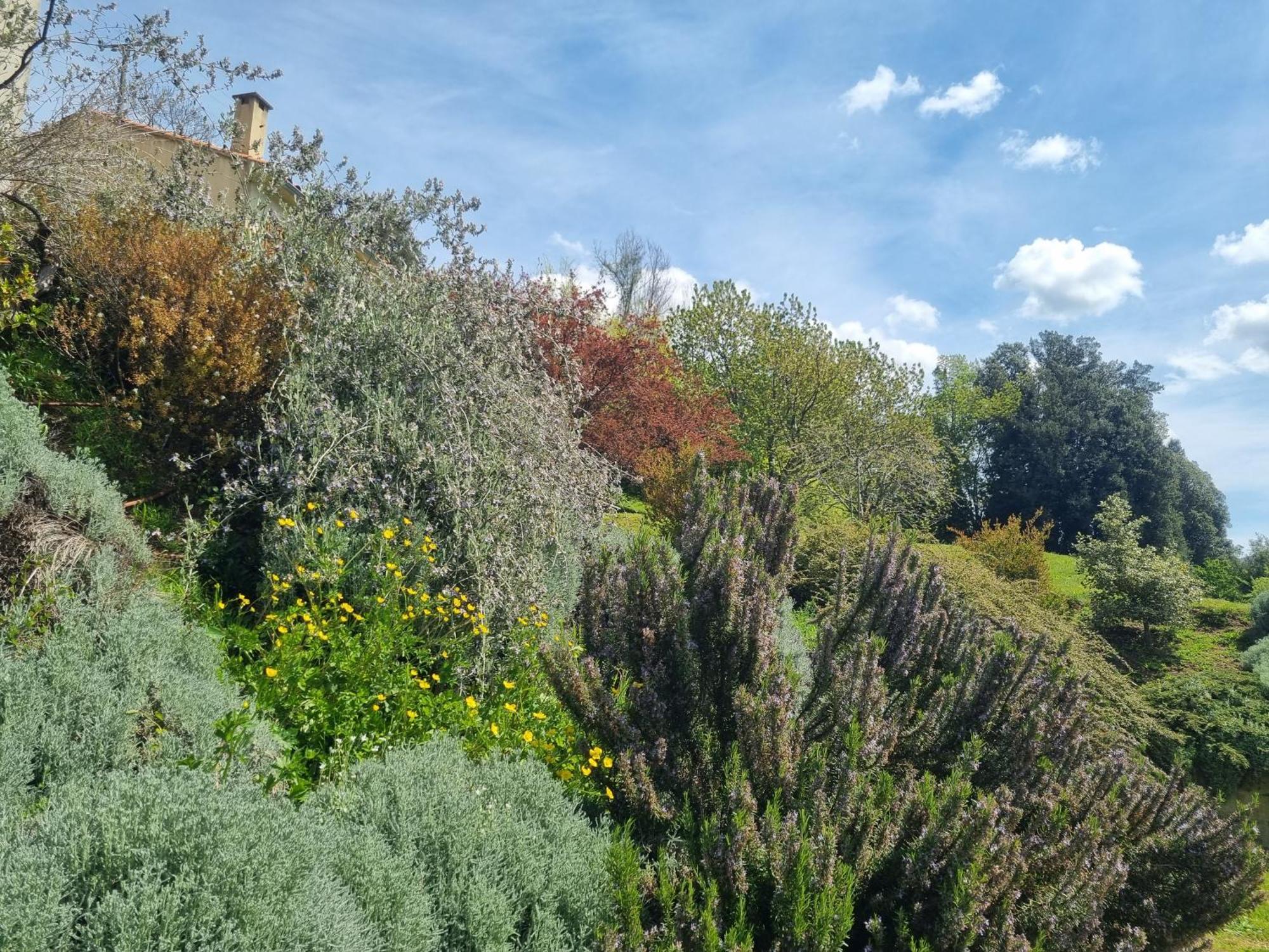 Cote Lac Tolla Bagian luar foto